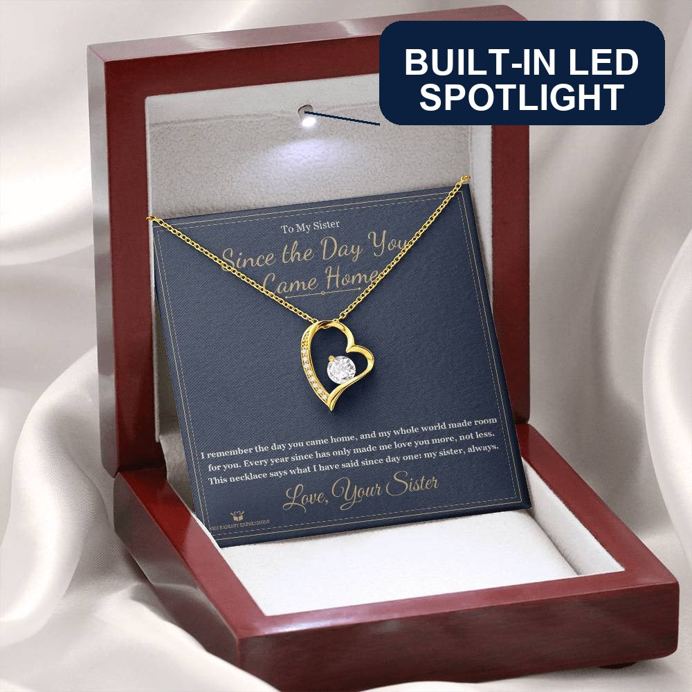 Since the Day You Came Home - Forever Love Necklace for Sister