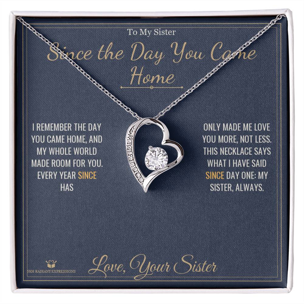Since the Day You Came Home - Forever Love Necklace for Sister