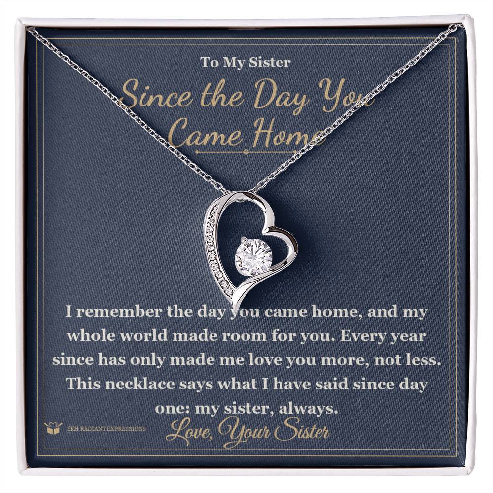Since the Day You Came Home - Forever Love Necklace for Sister