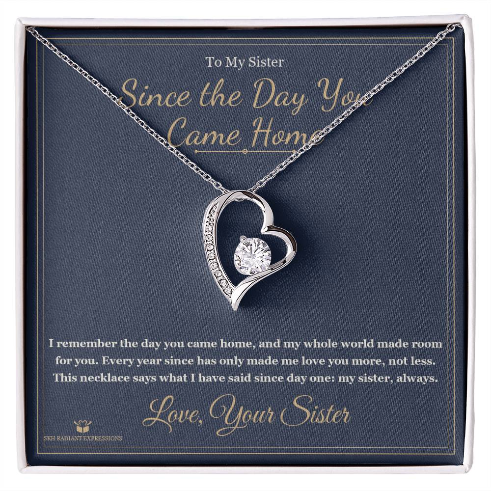 Since the Day You Came Home - Forever Love Necklace for Sister