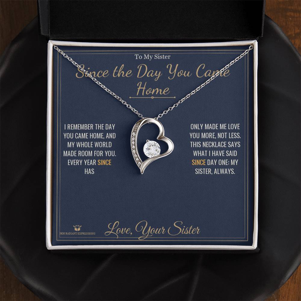 Since the Day You Came Home - Forever Love Necklace for Sister