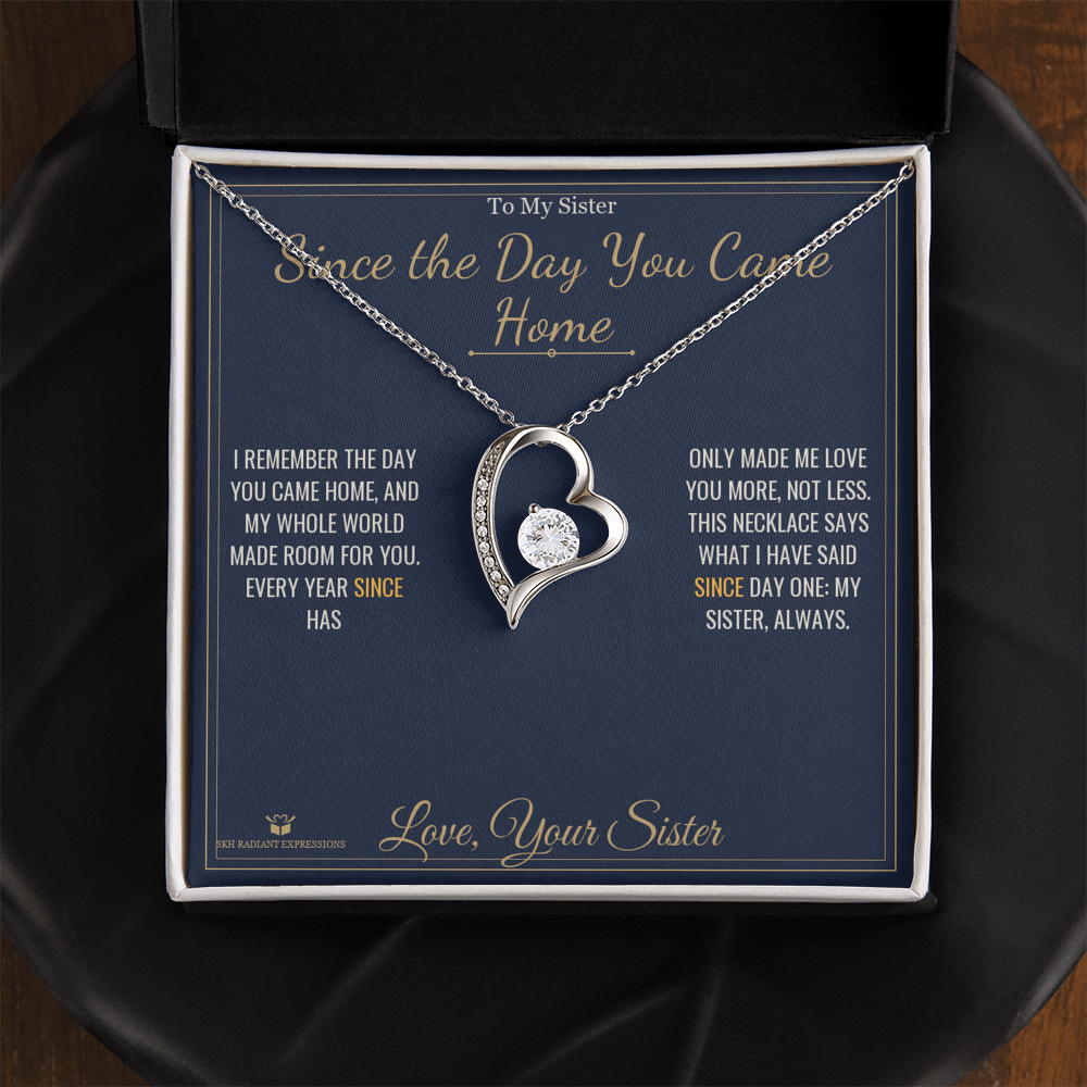 Since the Day You Came Home - Forever Love Necklace for Sister