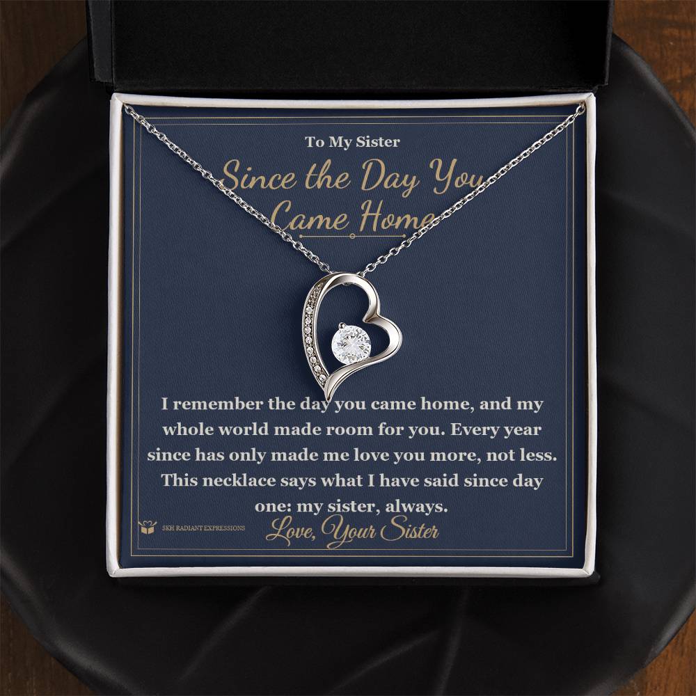 Since the Day You Came Home - Forever Love Necklace for Sister