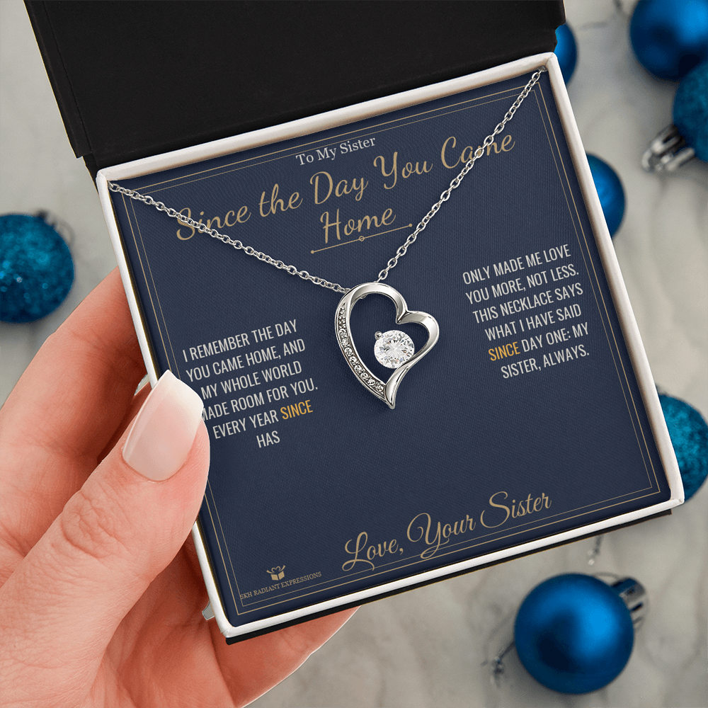 Since the Day You Came Home - Forever Love Necklace for Sister