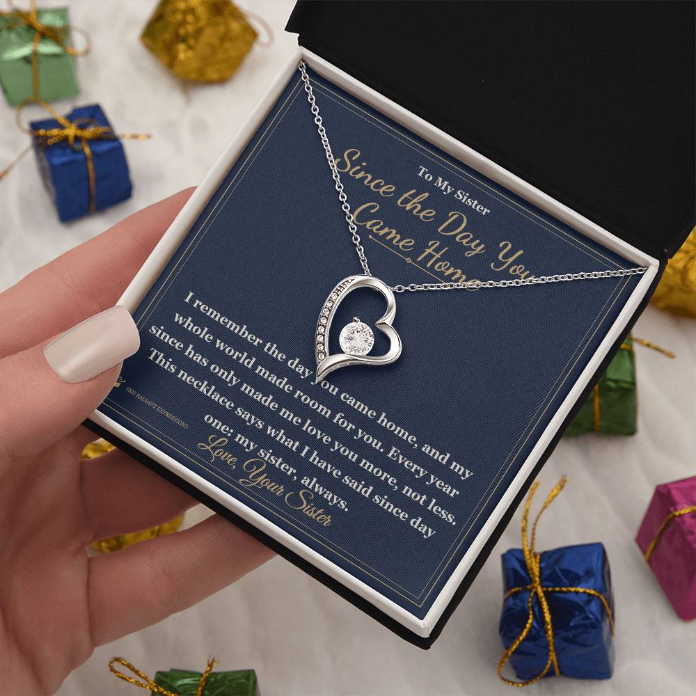 Since the Day You Came Home - Forever Love Necklace for Sister