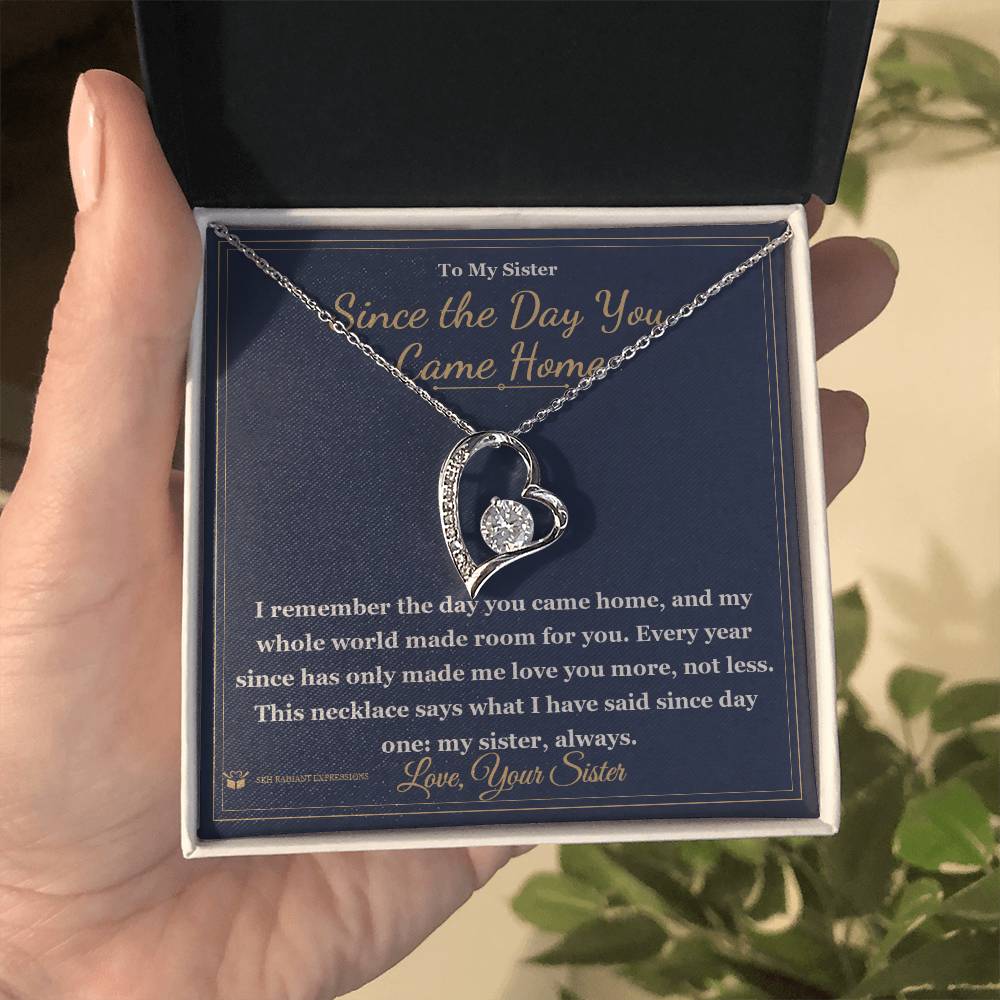 Since the Day You Came Home - Forever Love Necklace for Sister