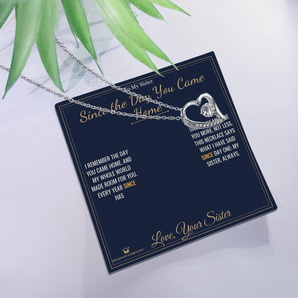 Since the Day You Came Home - Forever Love Necklace for Sister