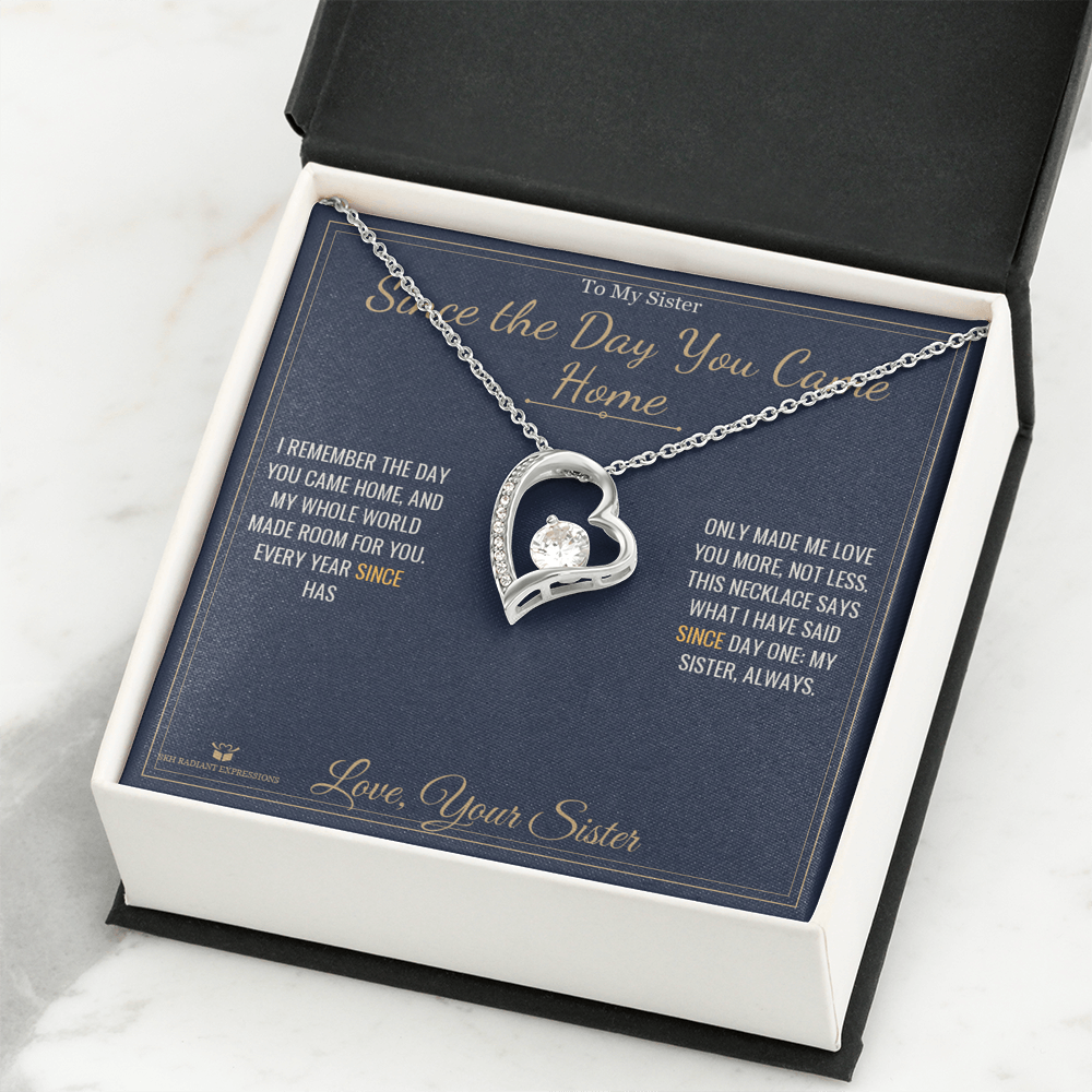 Since the Day You Came Home - Forever Love Necklace for Sister