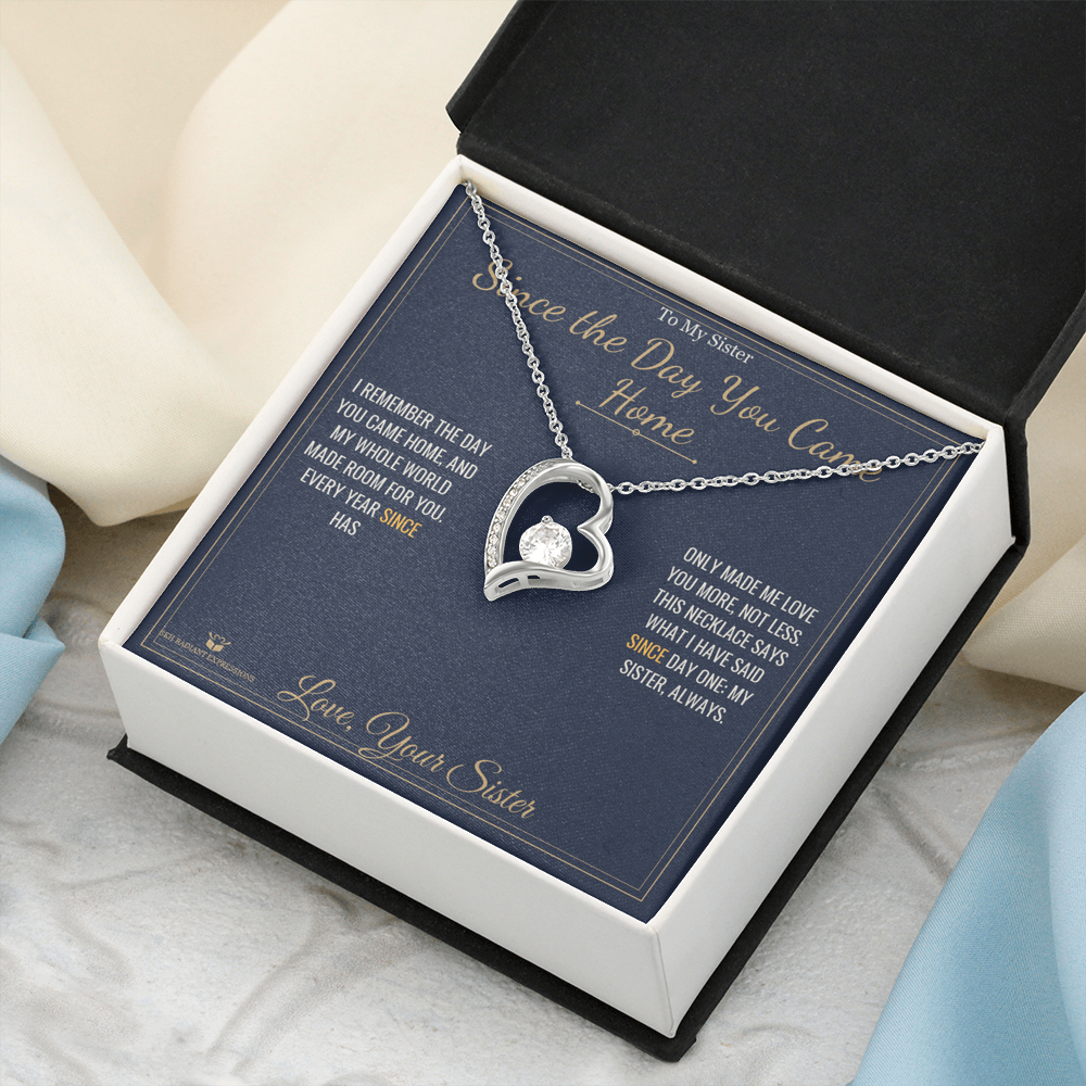 Since the Day You Came Home - Forever Love Necklace for Sister