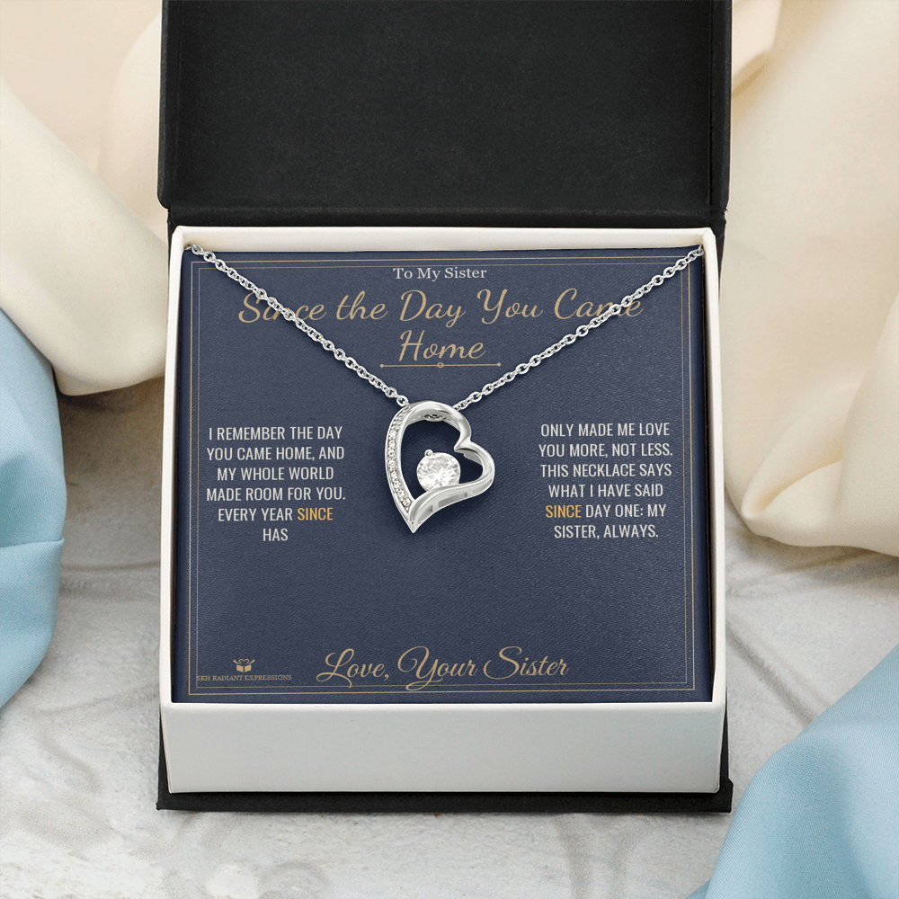 Since the Day You Came Home - Forever Love Necklace for Sister