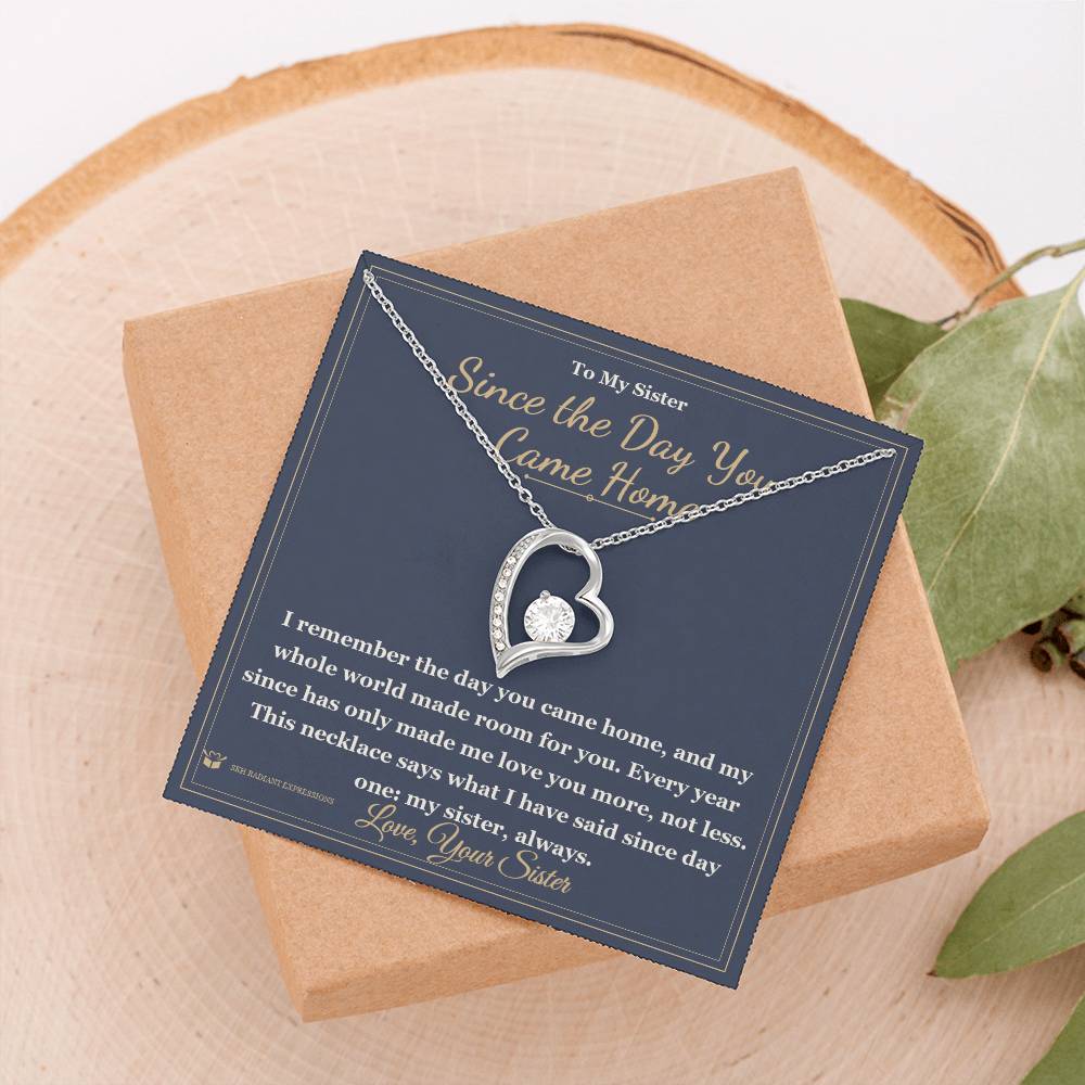 Since the Day You Came Home - Forever Love Necklace for Sister