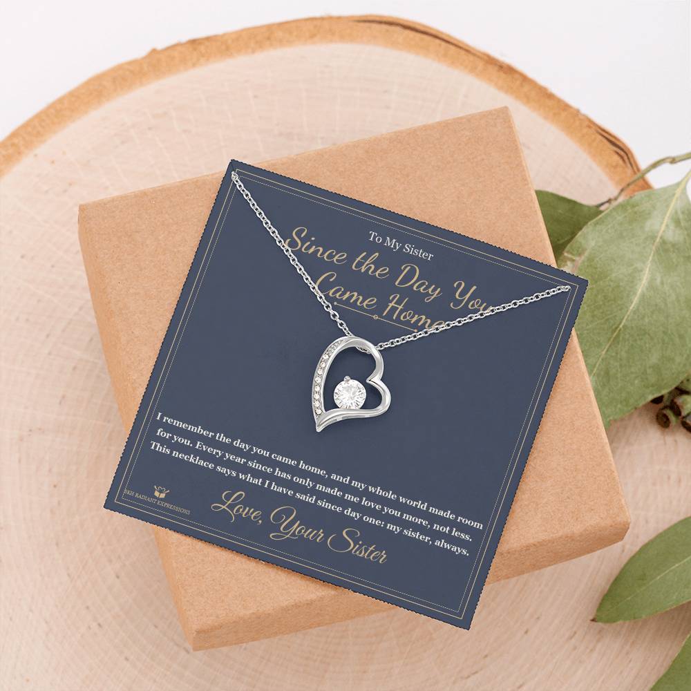 Since the Day You Came Home - Forever Love Necklace for Sister
