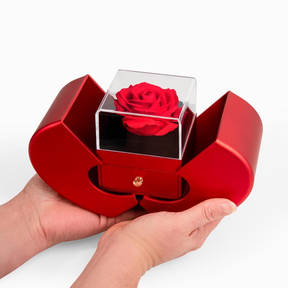 The Text I Reread - Love Knot Necklace with Red Rose Box for Girlfriend