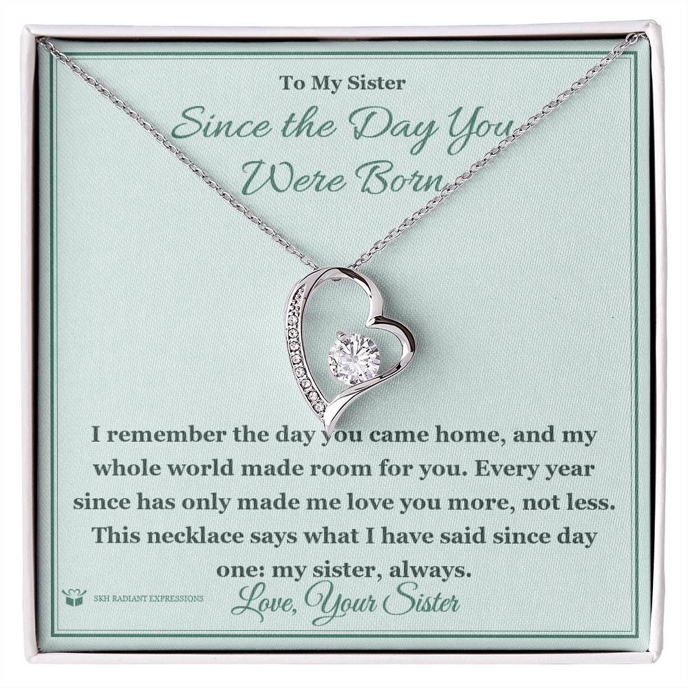 Christmas gift idea for sister 2026