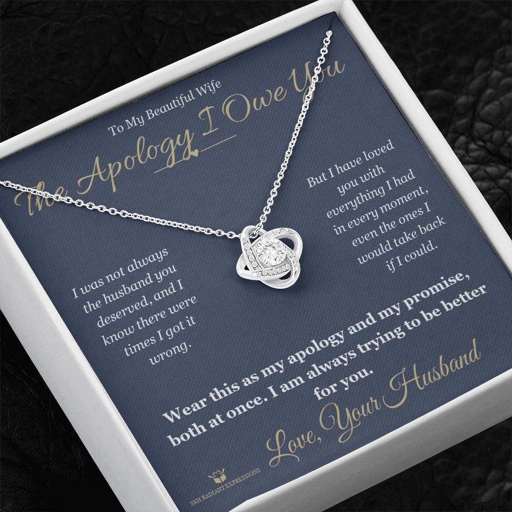 Meaningful gift for wife - The Apology I Owe You