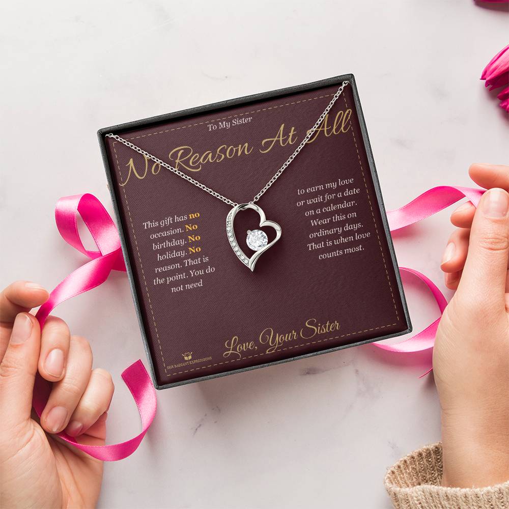 Christmas gift idea for sister 2026