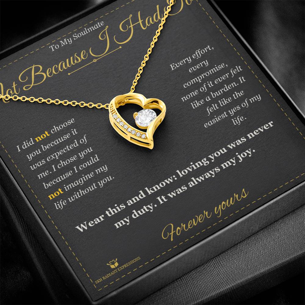 Meaningful gift for soulmate - Not Because I Had To